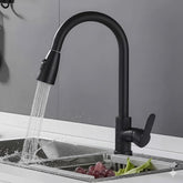 Black Pull-Out Kitchen Faucet – 304 Steel | Abid Traders